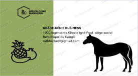 Grâce-Génie Business