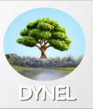 Dynel