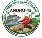 Andro-45